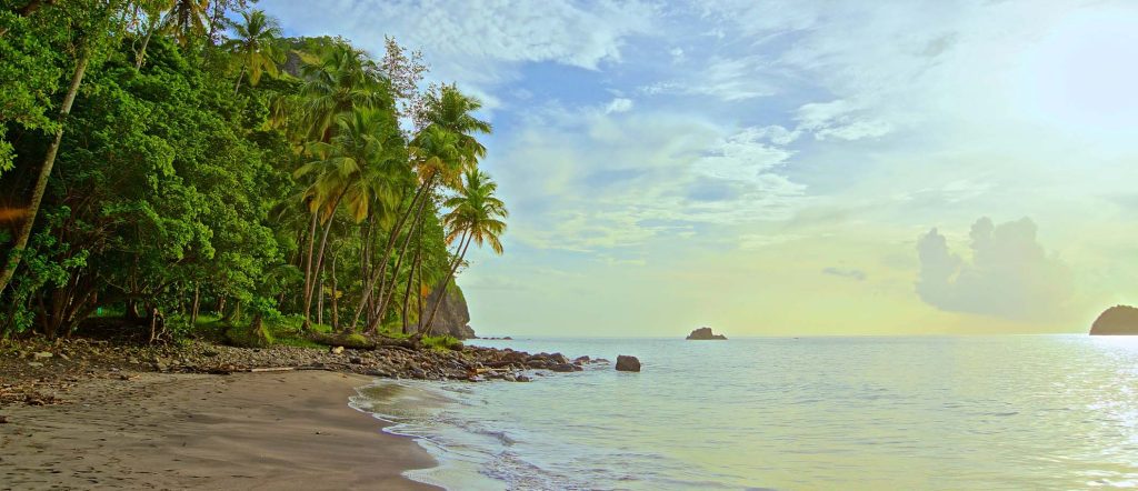 veelgestelde vragen Martinique Anse Couleuvre mooiste stranden van de Caribbean