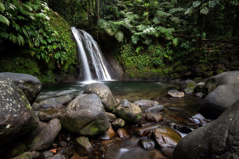 Natuur rondreis Guadeloupe waterval Cascade-aux-Ecrevisses Route de la Traversée Basse-Terre