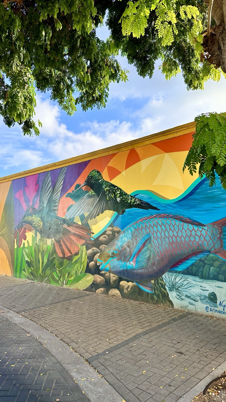 Aruba bezienswaardigheden San Nicolas mural art