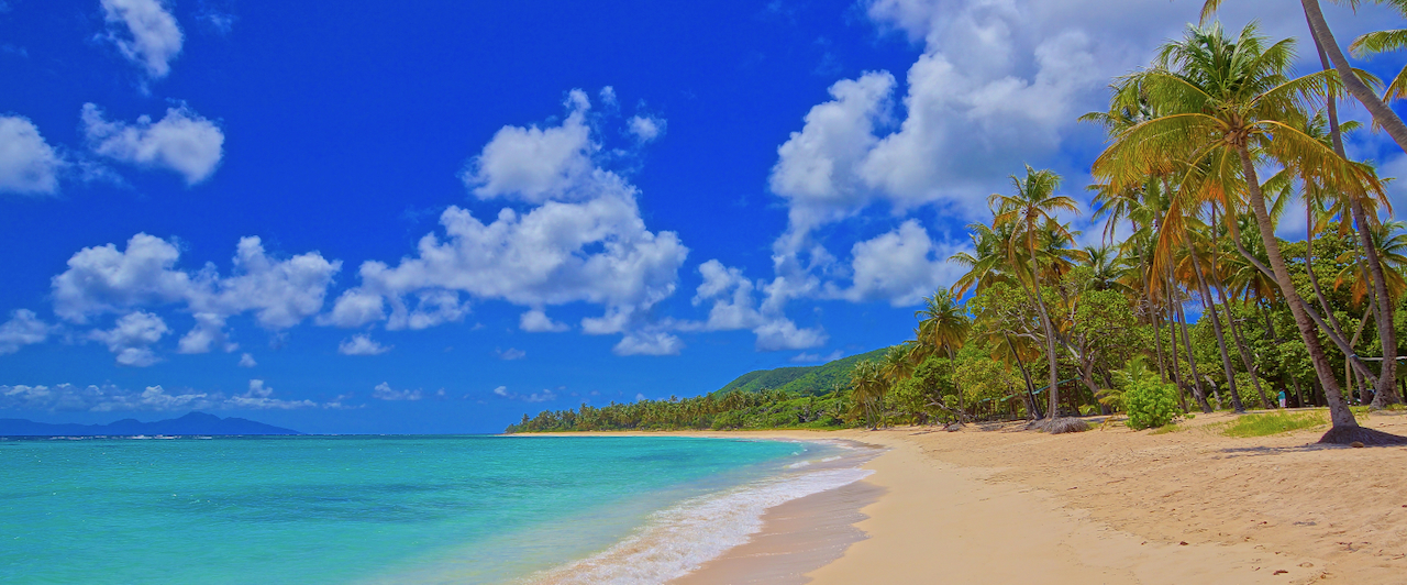 Mooiste eiland van de Caribbean Marie Galante Plage de la Feuillere wuivende palmbomen Dominica op de achtergrond wit zandstrand