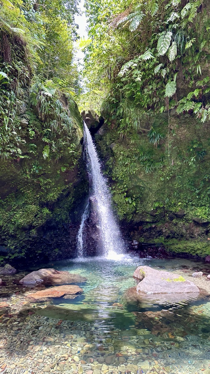 Mooiste watervallen Jacko Falls Dominica