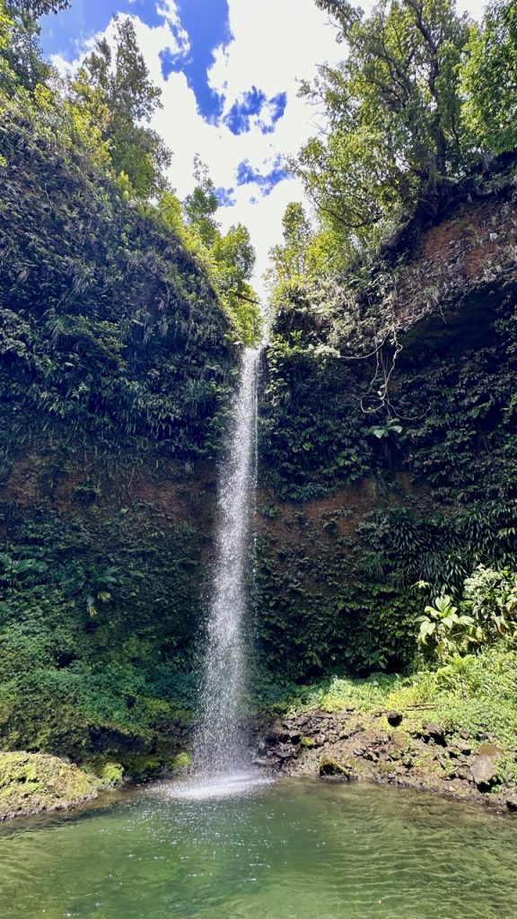 Mooiste watervallen Spanny Falls Dominica