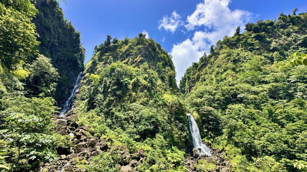 Mooiste watervallen Trafalgar Falls Dominica