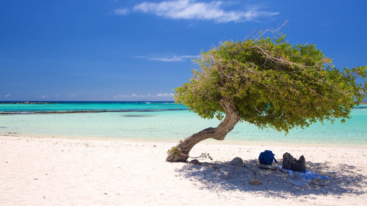 ABC-eilanden Vakantie Aruba Eagle Beach Fofoti mooiste strand van de Caribbean