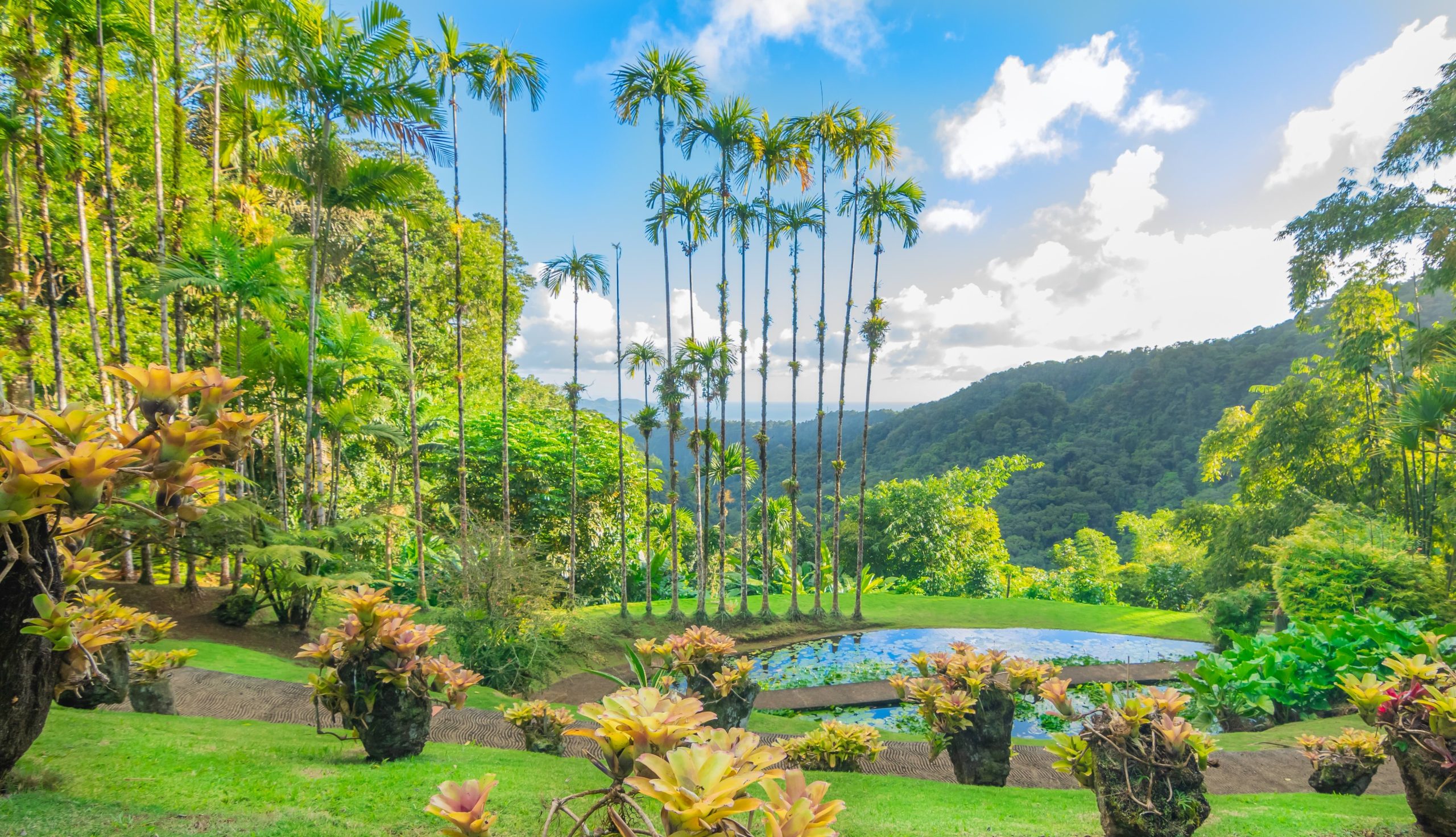 Baytravel reisbestemming Martinique