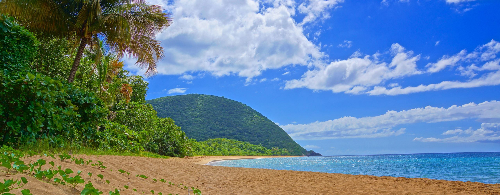 Plage de Grande Anse in Deshaies op Basse-Terre, Guadeloupe