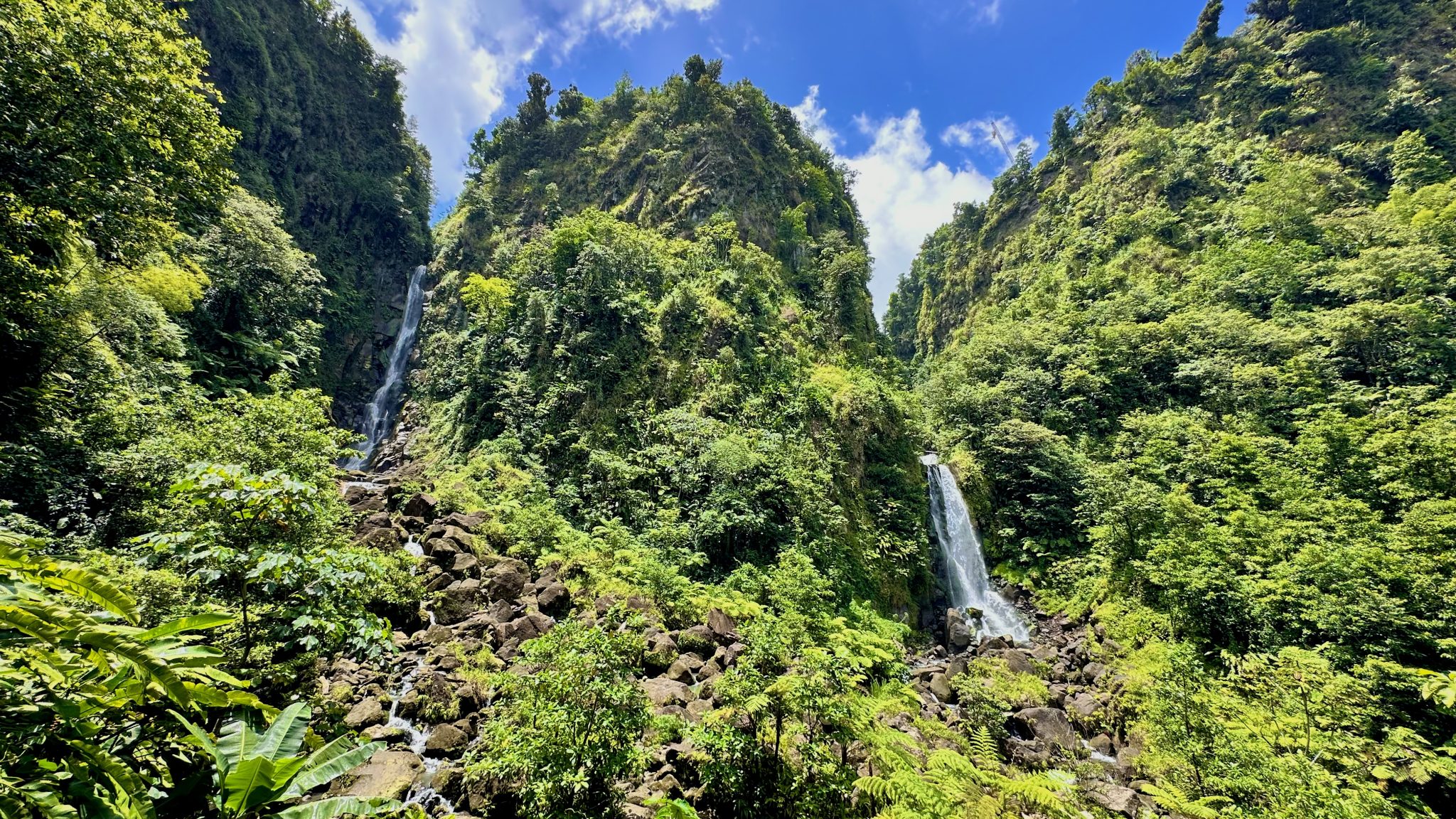 Watervallen Trafalgar Falls in Morne Trois Pitons National Park op Dominica UNESCO werelderfgoed tropisch regenwoud