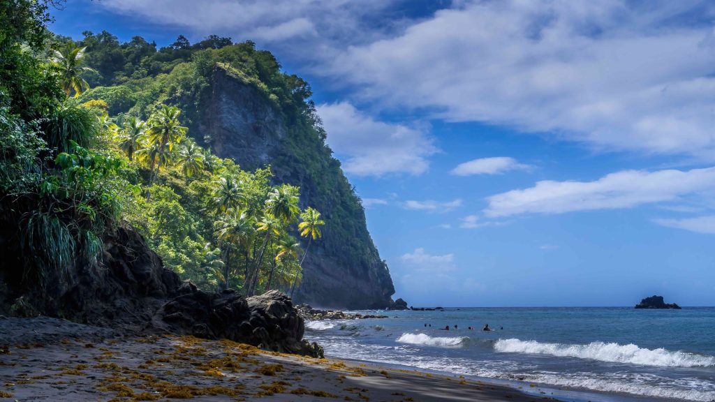 Rondreis Guadeloupe Dominica Martinique Anse Couleuvre paradijselijk strand met palmbomen aan tropisch regenwoud