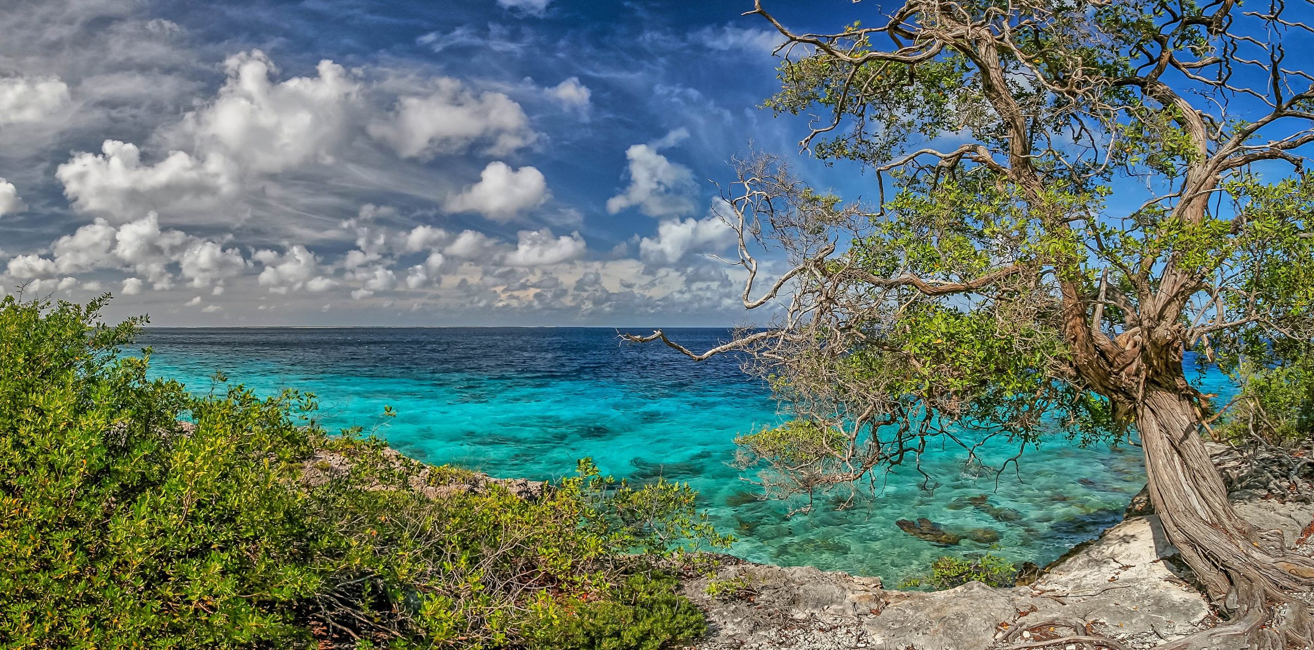 Vakantie naar Bonaire turquoise water van de Caribische Zee gezien vanuit Washington Slagbaai Nationaal Park, droog landschap met cactussen