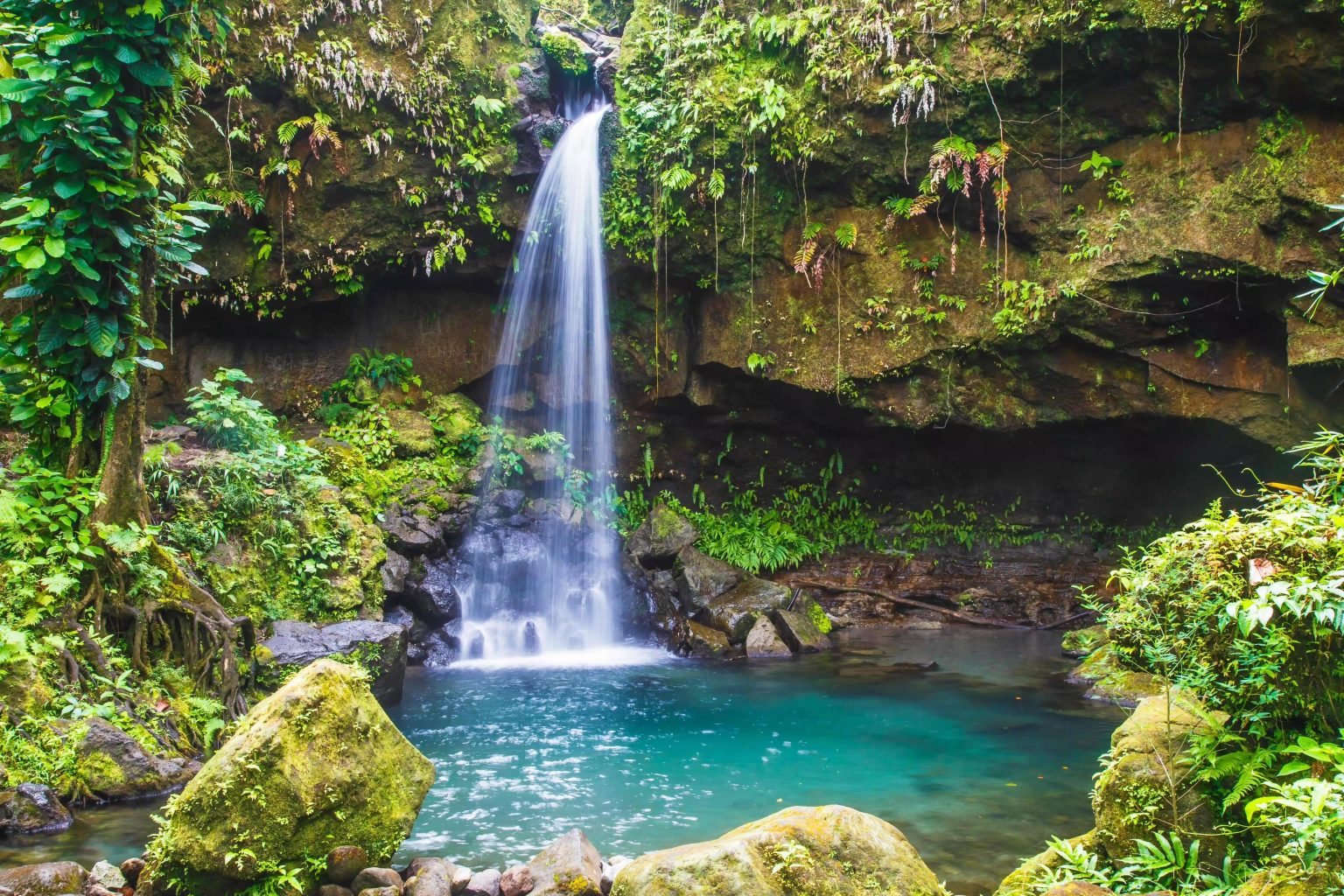 Wat is het mooiste eiland van de Caribbean-Emerald Pool Morne Trois Pitons Nationaal Park waterval tropisch regenwoud