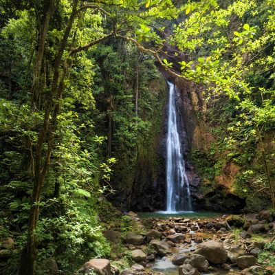 Natuurvakantie Caribbean Syndicate Waterfall in het Syndicate Forest op Dominica