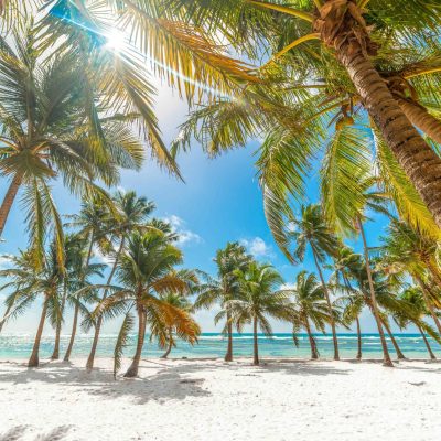 Strandvakantie Caribische eilanden palmbomen wit zandstrand turquoise zee Bois Jolan Guadeloupe