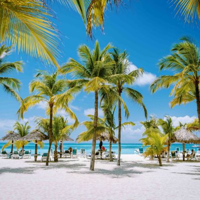 Vakantie Aruba Palm Beach wit zandstrand met palmbomen en turquoise zee op het Caribische eiland Aruba
