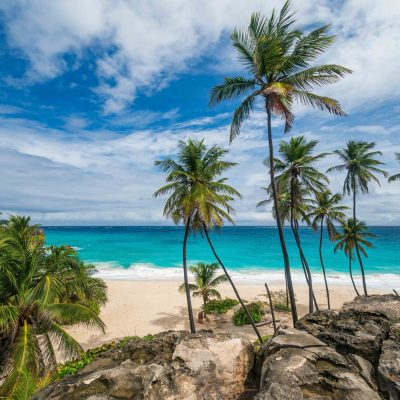 Vakantie Barbados Caribisch eiland met witte zandstranden en palmbomen Bottom Bay