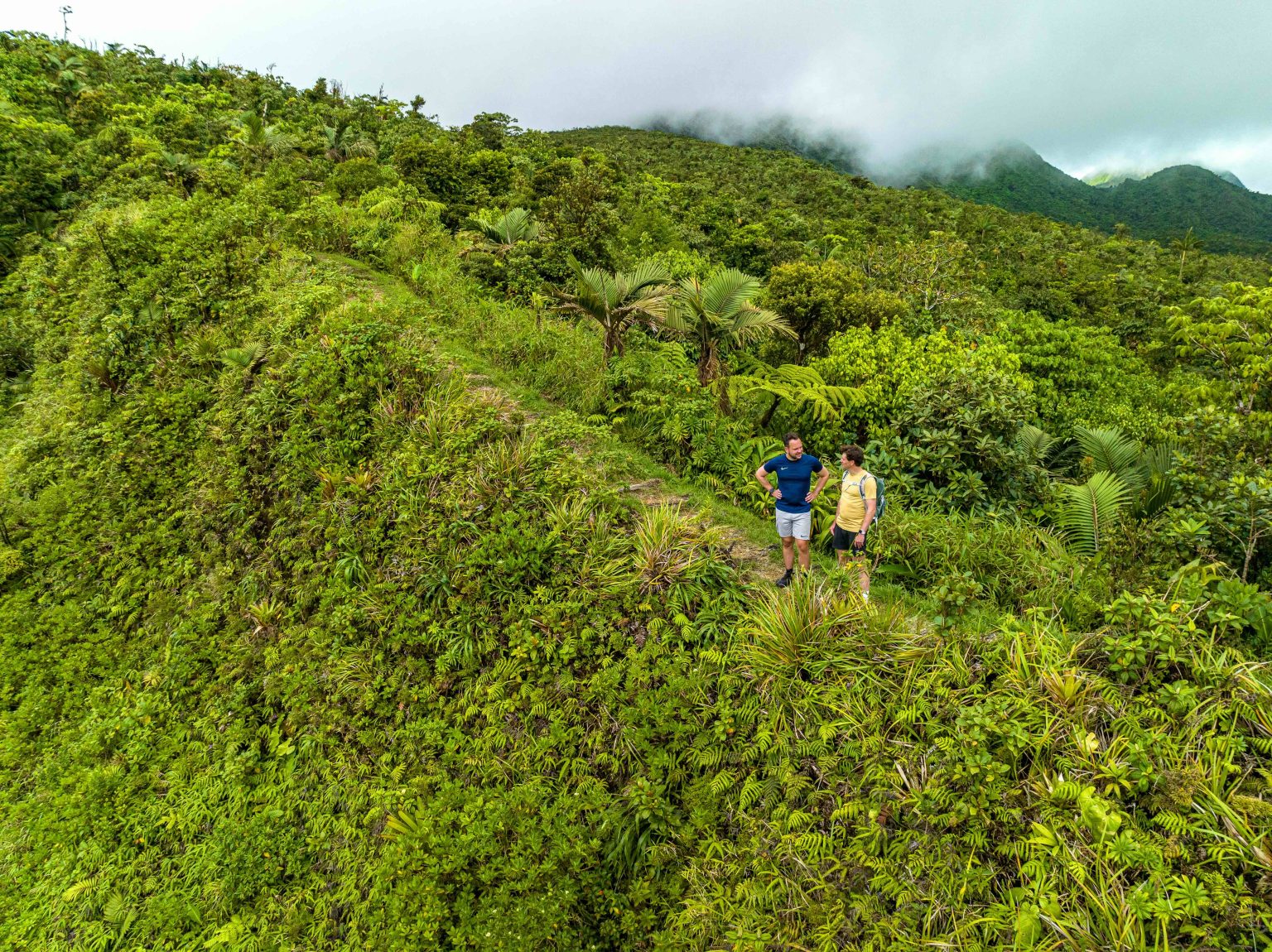 Bezienswaardigheden Dominica hiken Freshwater Lake met regenwoud en mist