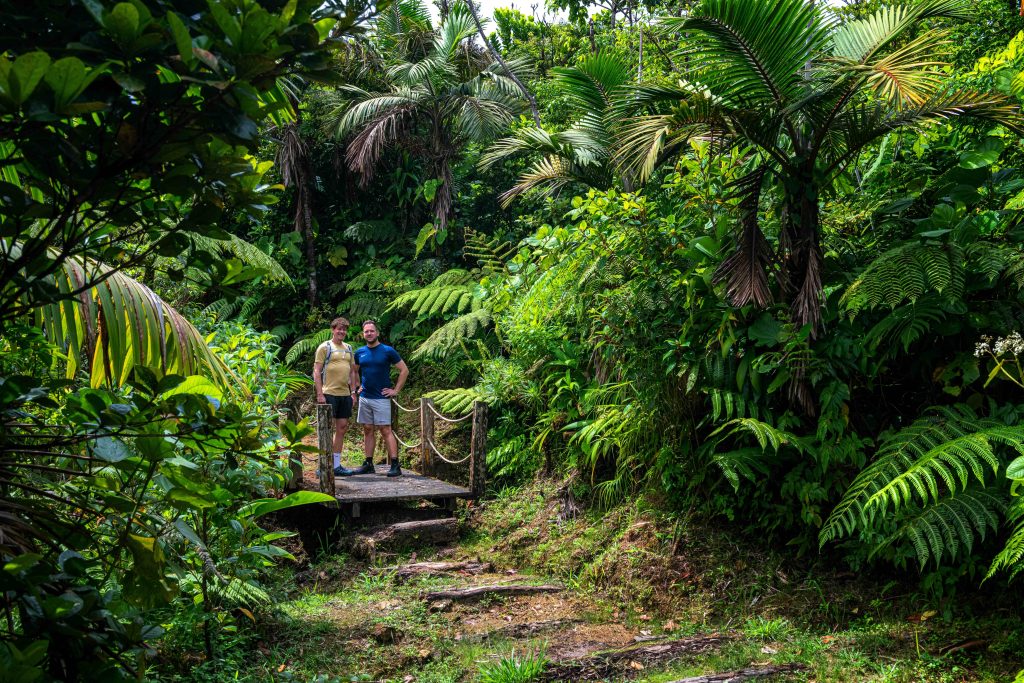 Dominica eiland in de Caribbean Mattijs en Niek van Bay Travel in het regenwoud rondom Freshwater Lake