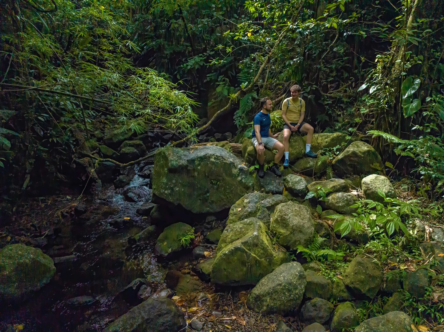 Mattijs en Niek van Bay Travel tijdens een hike op Nature Island Dominica in de Caribbean