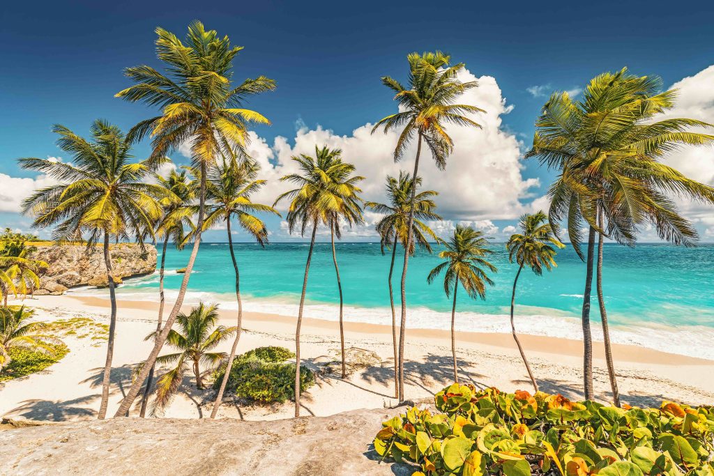 vakantie naar Barbados en Dominica Bottom Bay Saint Philip wit zandstrand palmbomen Atlantische Oceaan