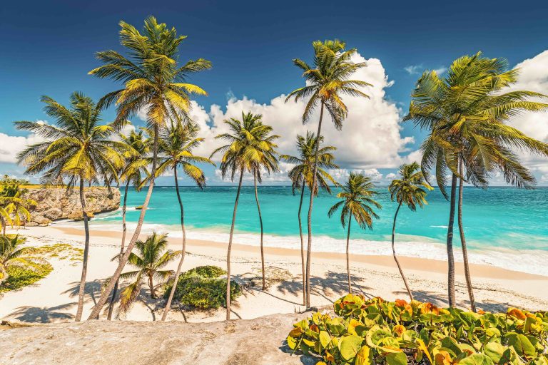 vakantie naar Barbados en Dominica Bottom Bay Saint Philip wit zandstrand palmbomen Atlantische Oceaan